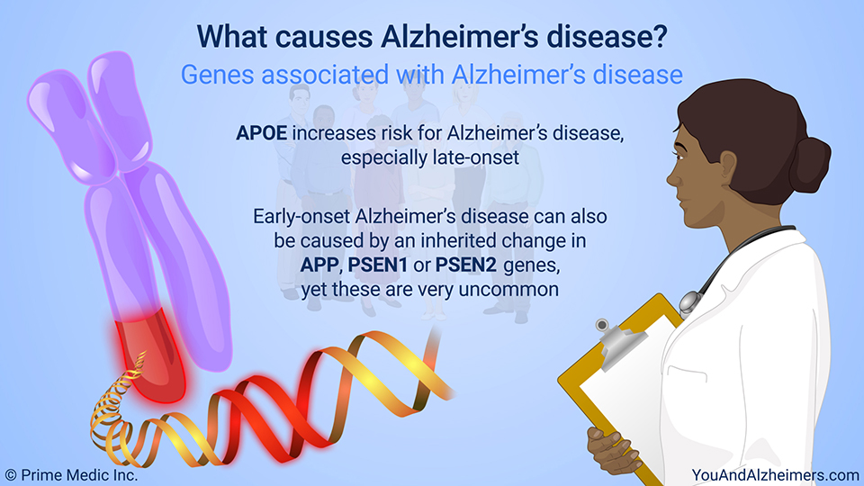 What causes Alzheimer's disease? – Genes associated with Alzheimer's disease